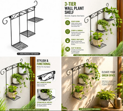 3 Tier Wall Plant Shelf