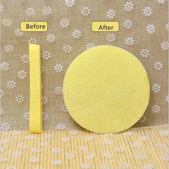 Compressed Facial Sponge (Pack of 12)