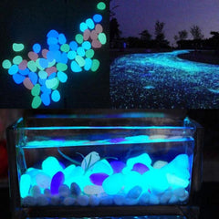 Night Glowing pebbles for Aquarium and Garden(Pack Of 100 Stones)