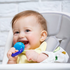 Food and Fruit Nibbler with Extra Mesh, Soft Pacifier/Feeder