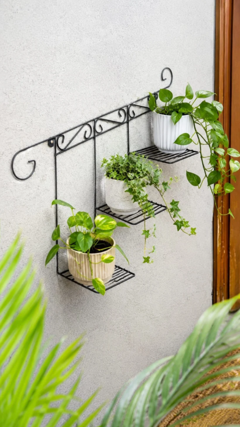 3 Tier Wall Plant Shelf