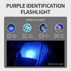 Handheld UV Note Checking Light