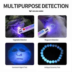 Handheld UV Note Checking Light