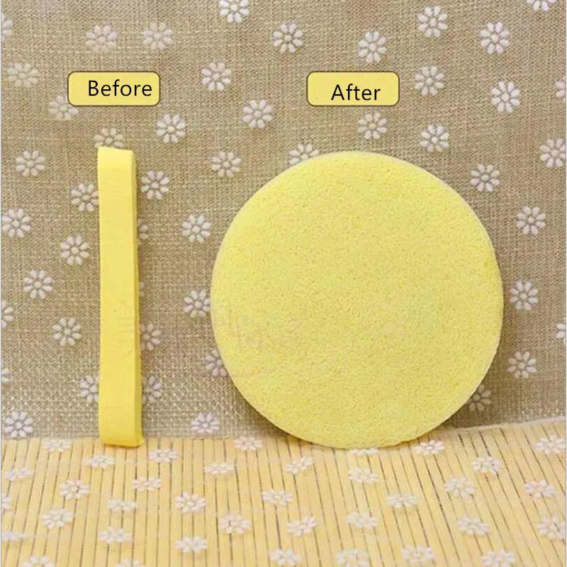 Compressed Facial Sponge (Pack of 12)